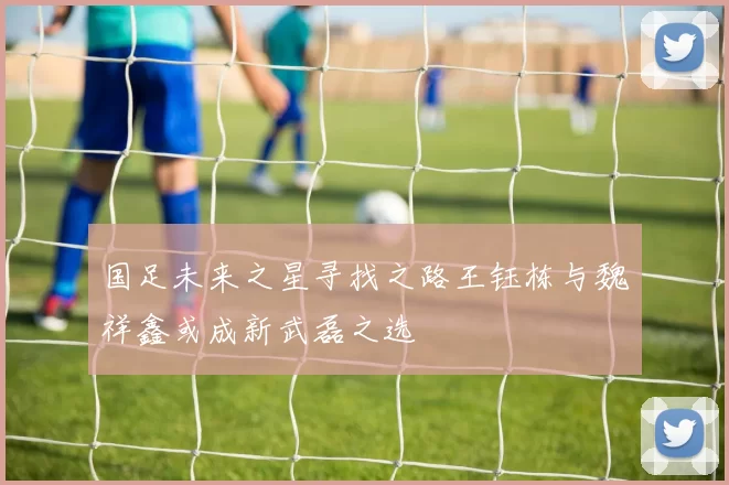 国足未来之星寻找之路王钰栋与魏祥鑫或成新武磊之选